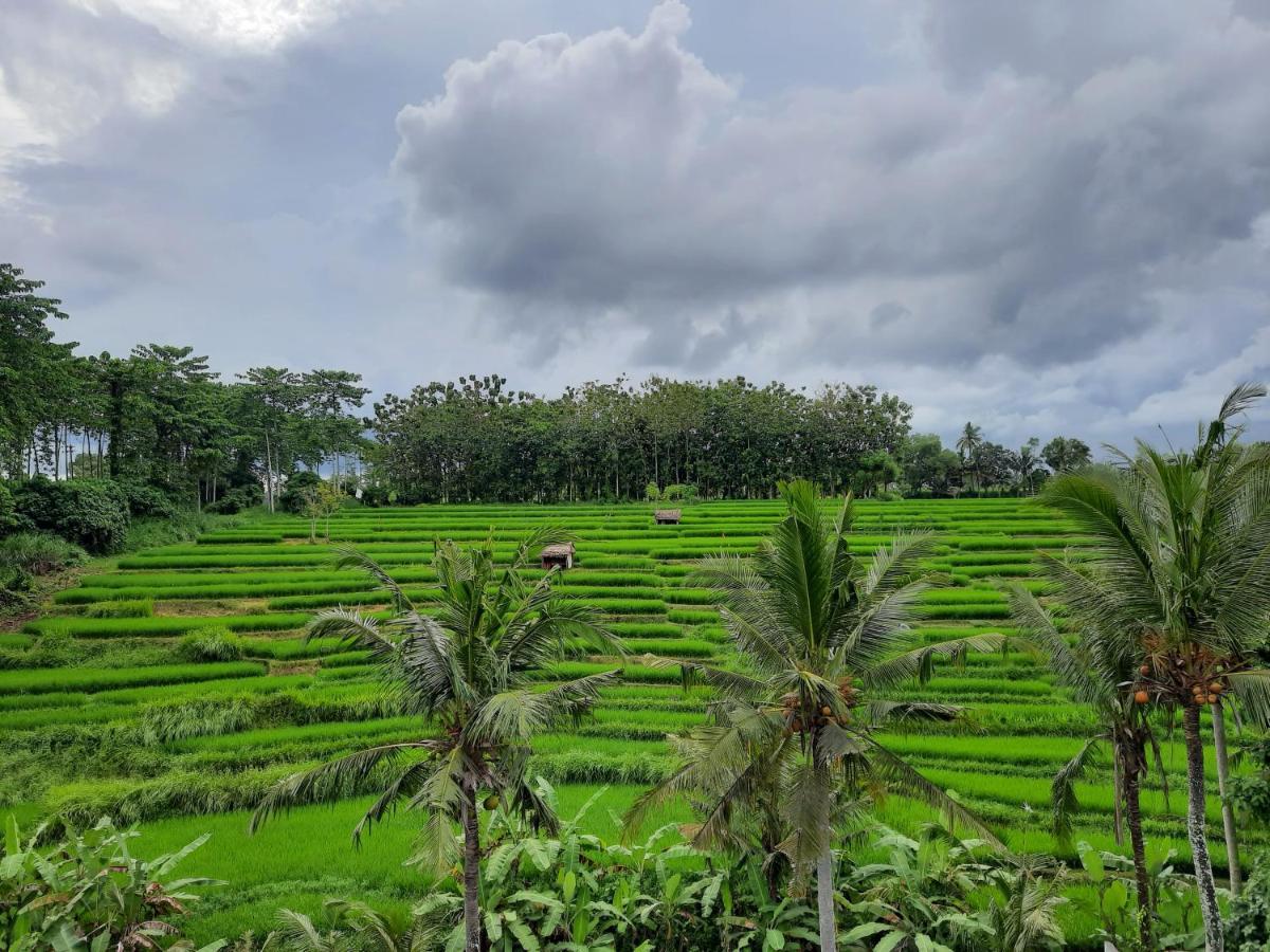 Serenity Private Villa Mas Ubud Extérieur photo