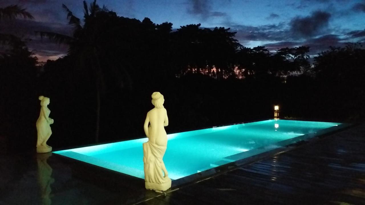 Serenity Private Villa Mas Ubud Extérieur photo