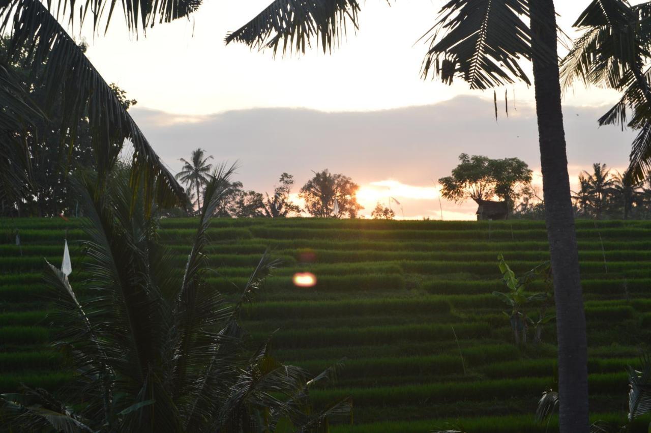 Serenity Private Villa Mas Ubud Extérieur photo