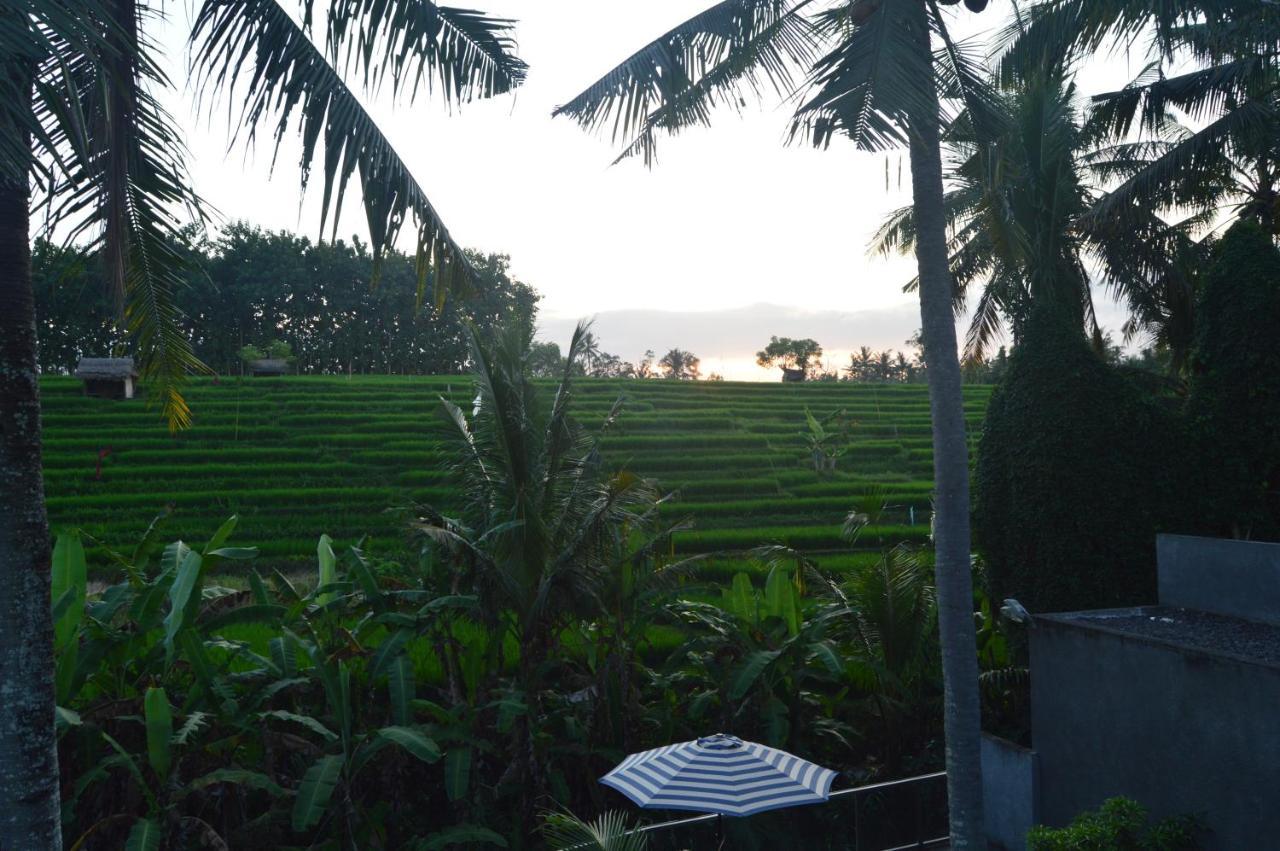 Serenity Private Villa Mas Ubud Extérieur photo