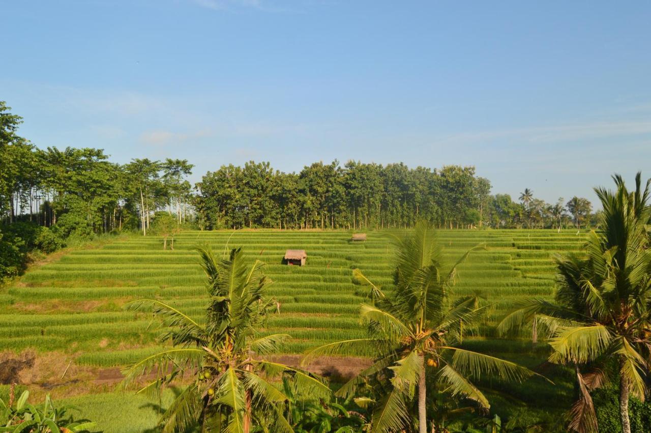 Serenity Private Villa Mas Ubud Extérieur photo