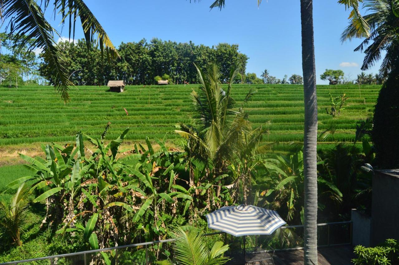 Serenity Private Villa Mas Ubud Extérieur photo